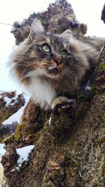 1WhatsApp Image 2026-01-08 at 14.32.29.jpeg