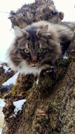 2WhatsApp Image 2026-01-08 at 14.32.29.jpeg