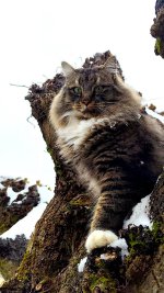 3WhatsApp Image 2026-01-08 at 14.32.29.jpeg