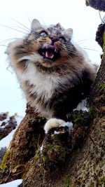 4WhatsApp Image 2026-01-08 at 14.32.29.jpeg