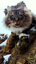 5WhatsApp Image 2026-01-08 at 14.32.29.jpeg