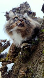 7WhatsApp Image 2026-01-07 at 13.03.36.jpeg