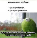 IMAGE 2026-01-12 07:17:34.jpg