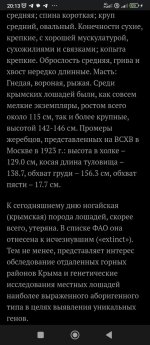 Screenshot_2026-02-04-20-13-49-571_com.vkontakte.android.jpg
