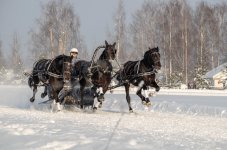 DSCF0090 копия.jpg