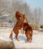 DSCF9880 копия.jpg