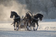 DSCF9934 копия.jpg