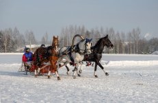 DSCF0038 копия.jpg