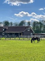 Левада 03.jpeg