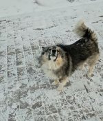 1770994441872.jpeg