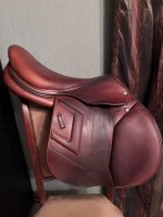 photo_2026-02-15_20-04-07 (2).jpg