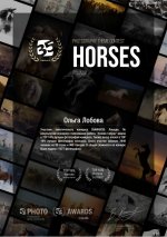 Screenshot_20260217-174322_Samsung Notes.jpg