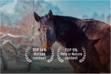 Screenshot_20260217-174229_Yandex Start.jpg