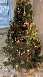 IMG_7103.jpeg