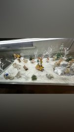 IMG_7104.jpeg