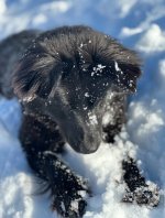 IMG_7254.jpeg