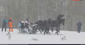 Тройка Фест 2026 - Google Chrome 2026-02-22 15-39-54.mp4 - MPC-BE x64 1.6.3 22.02.2026 18_29_08.png