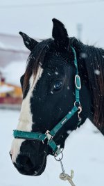 IMG_7365.jpeg