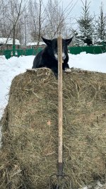 IMG_7399.jpeg