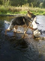 в парке 007_794681.jpg