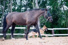 Зара и Лана_1.jpg