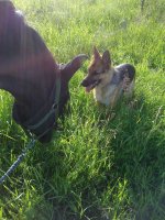 лана и Зара 023.jpg