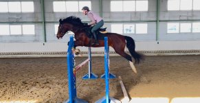 2026-02-11 13.52.44.jpg