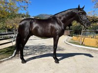 WhatsApp Image 2026-03-21 at 21.02.41.jpeg