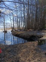 IMG_20260323_131136.jpg