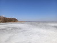 IMG_20260323_131305.jpg