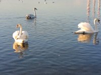 IMG_20260323_183752.jpg