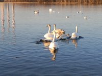 IMG_20260323_183758.jpg
