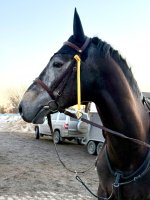 IMG_2859 2 копия.jpg