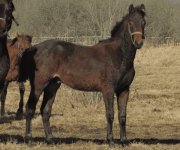 IMG_20260324_123051 (3)_batcheditor_fotor.jpg