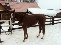 Изображение WhatsApp 2024-04-25 в 23.50.03_c2da8ac8.jpg