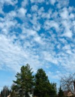 IMG_7960.jpeg