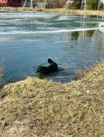 IMG_7962.jpeg