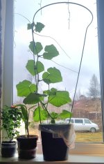 20260404_112606.jpg