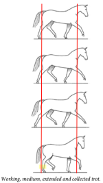 1000095638.png