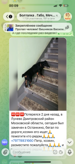 IMG_8003.png