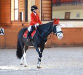 IMG_4983.jpeg
