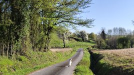 IMG_20260407_094529.jpg