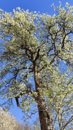 IMG_20260407_094726.jpg