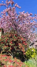 IMG_20260407_100107.jpg