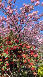 IMG_20260407_100128.jpg