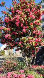 IMG_20260407_100208.jpg
