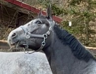 IMG_4986.jpeg