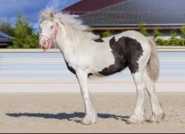 Sanne 6 месяцев.jpg