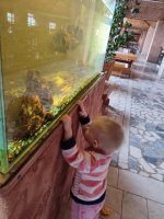 IMG_20260407_095250.jpg