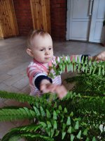 IMG_20260407_095629.jpg